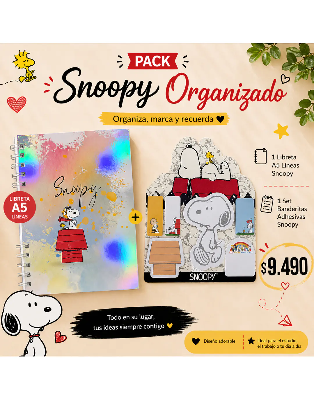 Pack Snoopy Organizado  1