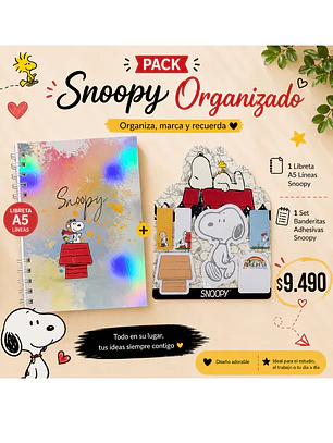 Pack Snoopy Organizado 