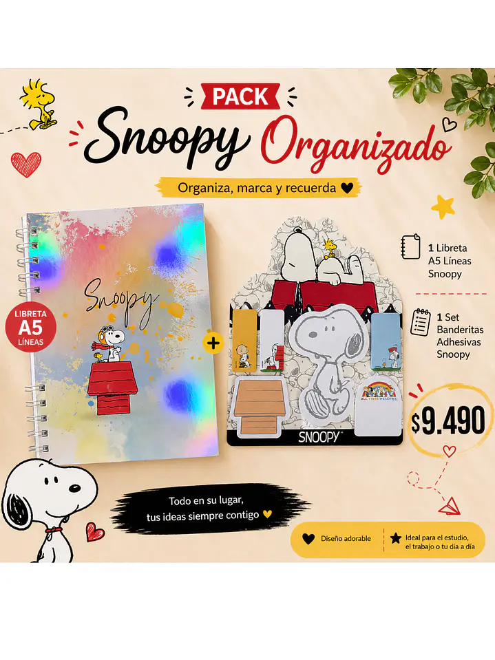 Pack Snoopy Organizado  1