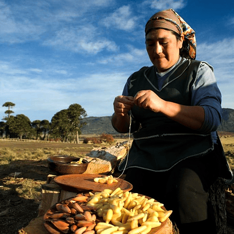 Tour Privado Étnico Mapuche