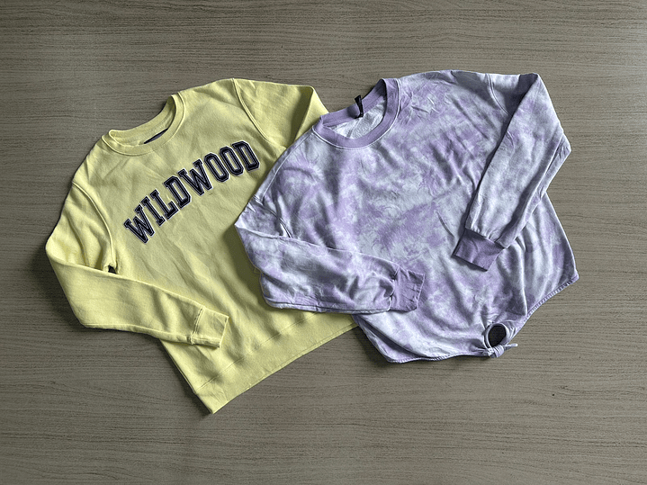 Fardo Poleron/Buzo Tercera 3