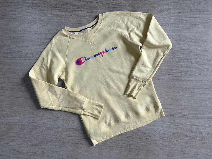 Fardo Poleron/Buzo Tercera 4