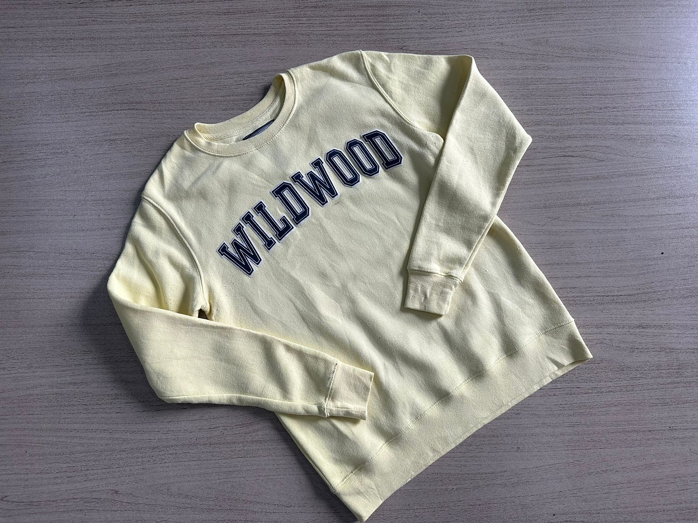 Fardo Poleron/Buzo Tercera 6