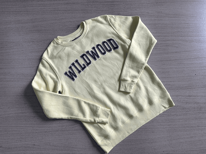 Fardo Poleron/Buzo Tercera 6