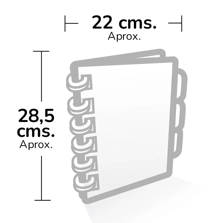 Cuaderno Argollado FERXXO Grande Multimaterias Monster 3