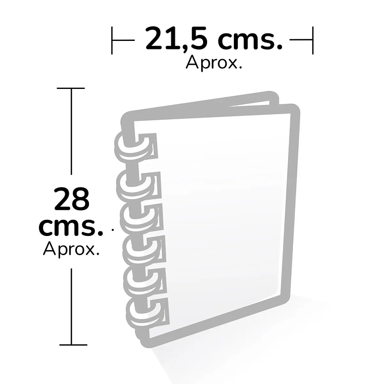 Cuaderno Argollado Pasta Dura FERXXO Llamas RAYADO 3