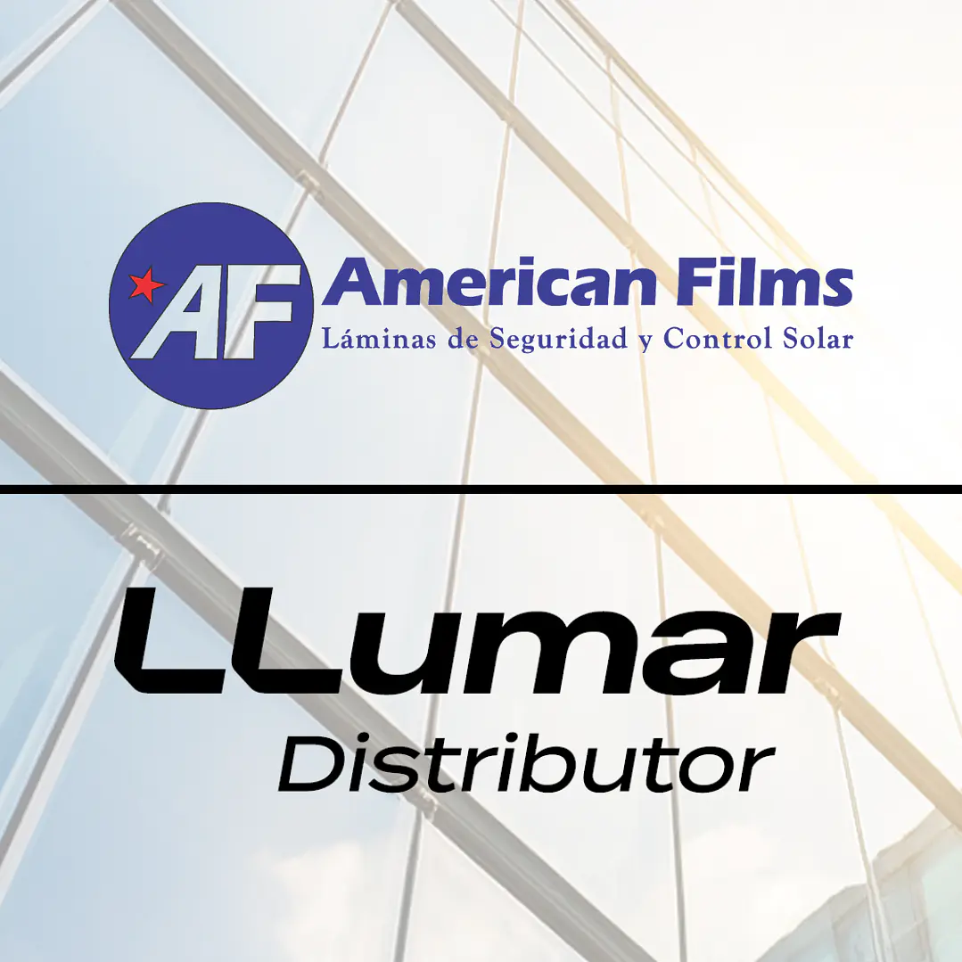 4 MIL CLEAR LLUMAR SCL SR PS4  4