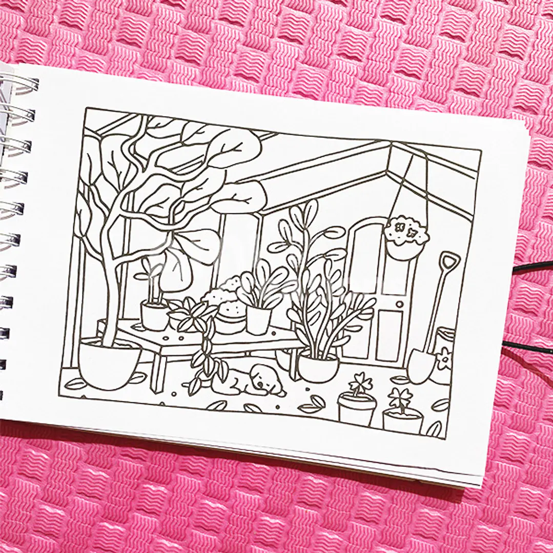 Libros para colorear 4