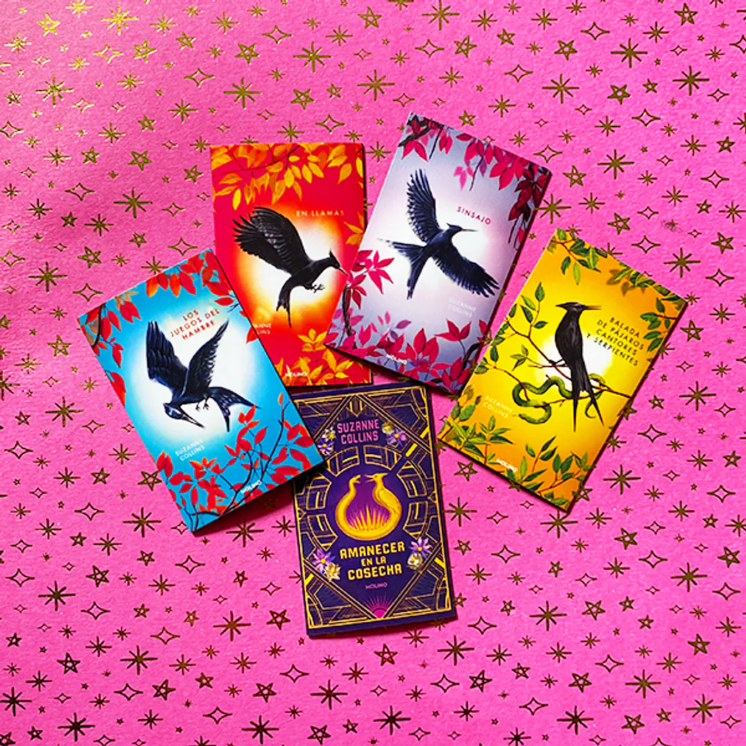 Pack de 5 Mini Imanes | Los Juegos del Hambre 1