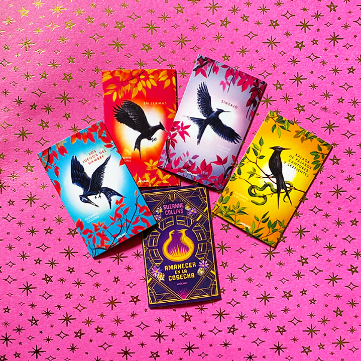 Pack de 5 Mini Imanes | Los Juegos del Hambre 1
