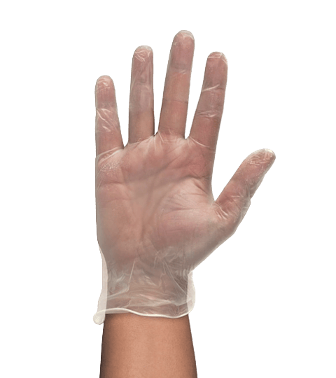 gants en vinyle sans poudre