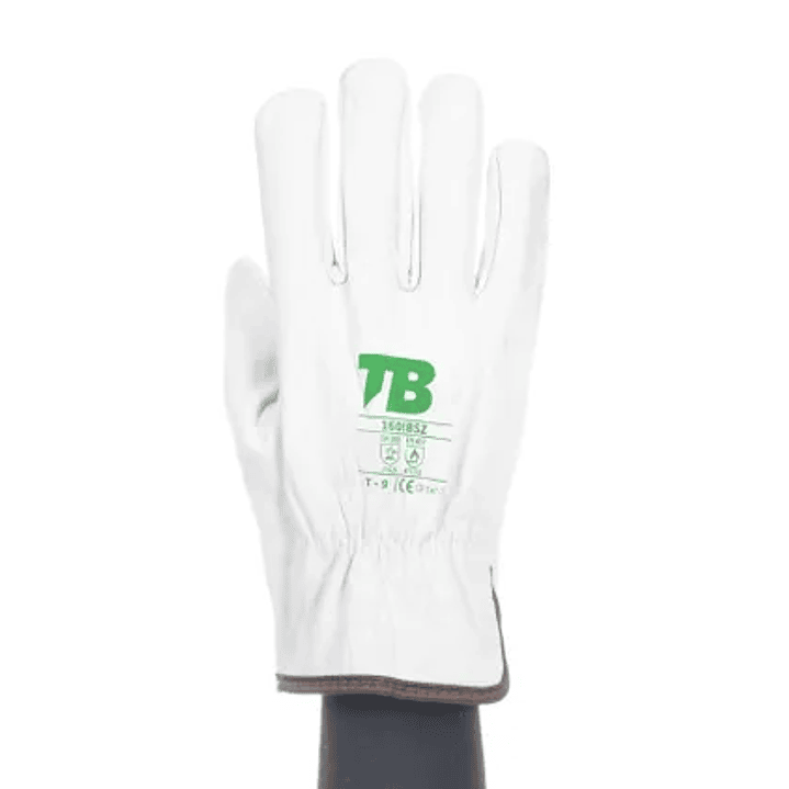 Gants de protection en cuir pour applications mécaniques et thermiques 160IBSZ | TB Group Safety 2