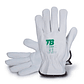 Gants de protection en cuir pour applications mécaniques et thermiques 160IBSZ | TB Group Safety - vignette 1