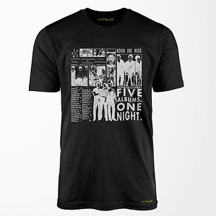 Polera Jonas Brothers v15