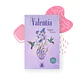 Valentía I - Kelbin Torres - Miniatura 1