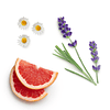 Óleo Essencial Citrus Bloom - 15 ml | Mistura Primavera