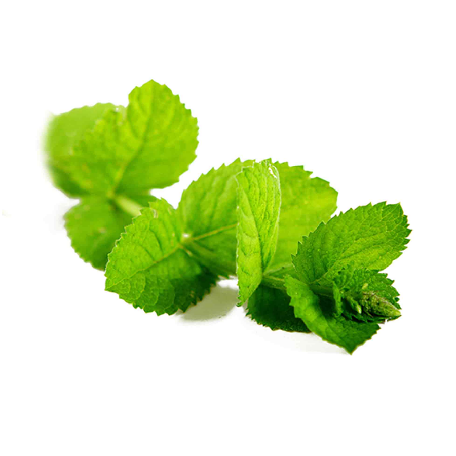 Óleo Essencial de Peppermint (Hortelã-Pimenta) dōTERRA