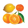 Óleo Essencial Citrus Bliss - 15 ml | Mistura de Vitalidade