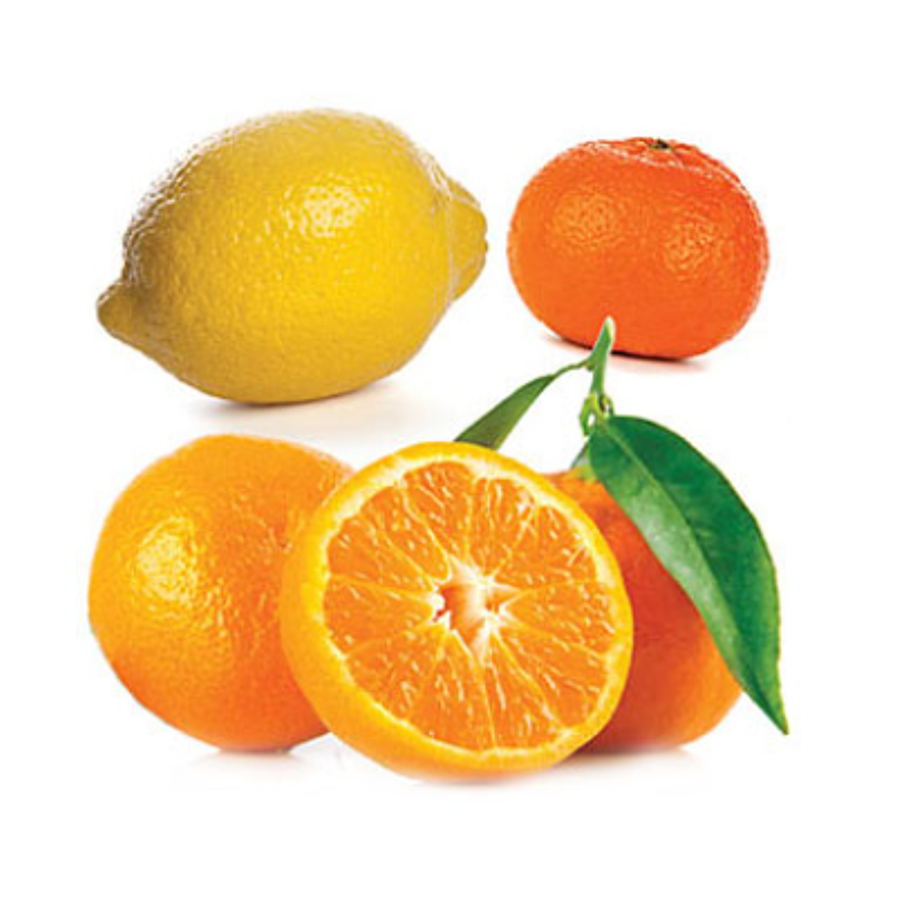 Óleo Essencial Citrus Bliss - 15 ml | Mistura de Vitalidade