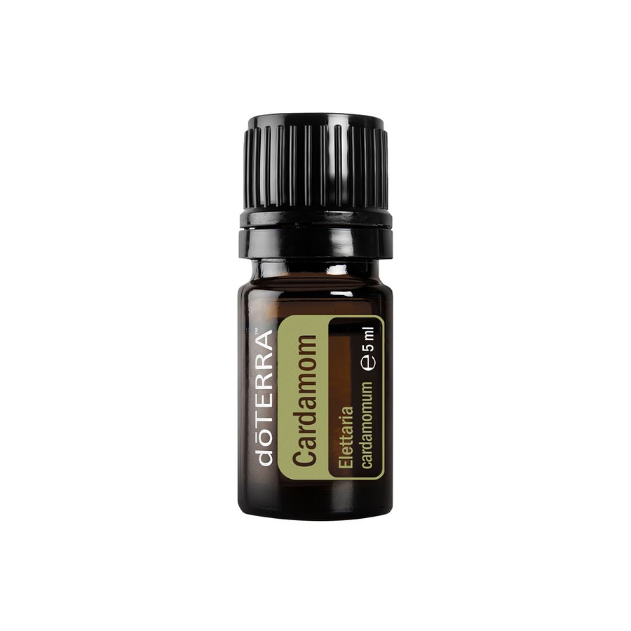 Cardamom (Cardamomo) Óleo Essencial 5 mL