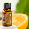 Citrus Bliss™ Óleo Essencial 15 mL - Mistura Revigorante