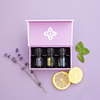 Kit Introdutório de Óleos Essenciais 5 mL