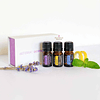 Kit Introdutório de Óleos Essenciais 5 mL