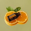 Wild Orange (Laranja Selvagem) Óleo Essencial 15 mL