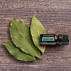 Laurel Leaf (Folha de Louro) Óleo Essencial 5mL