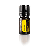 Óleo Essencial Cheer - 5 ml | Mistura Revigorante