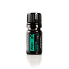 Óleo Essencial Align - 5 ml | Yoga - Mistura de Alinhamento