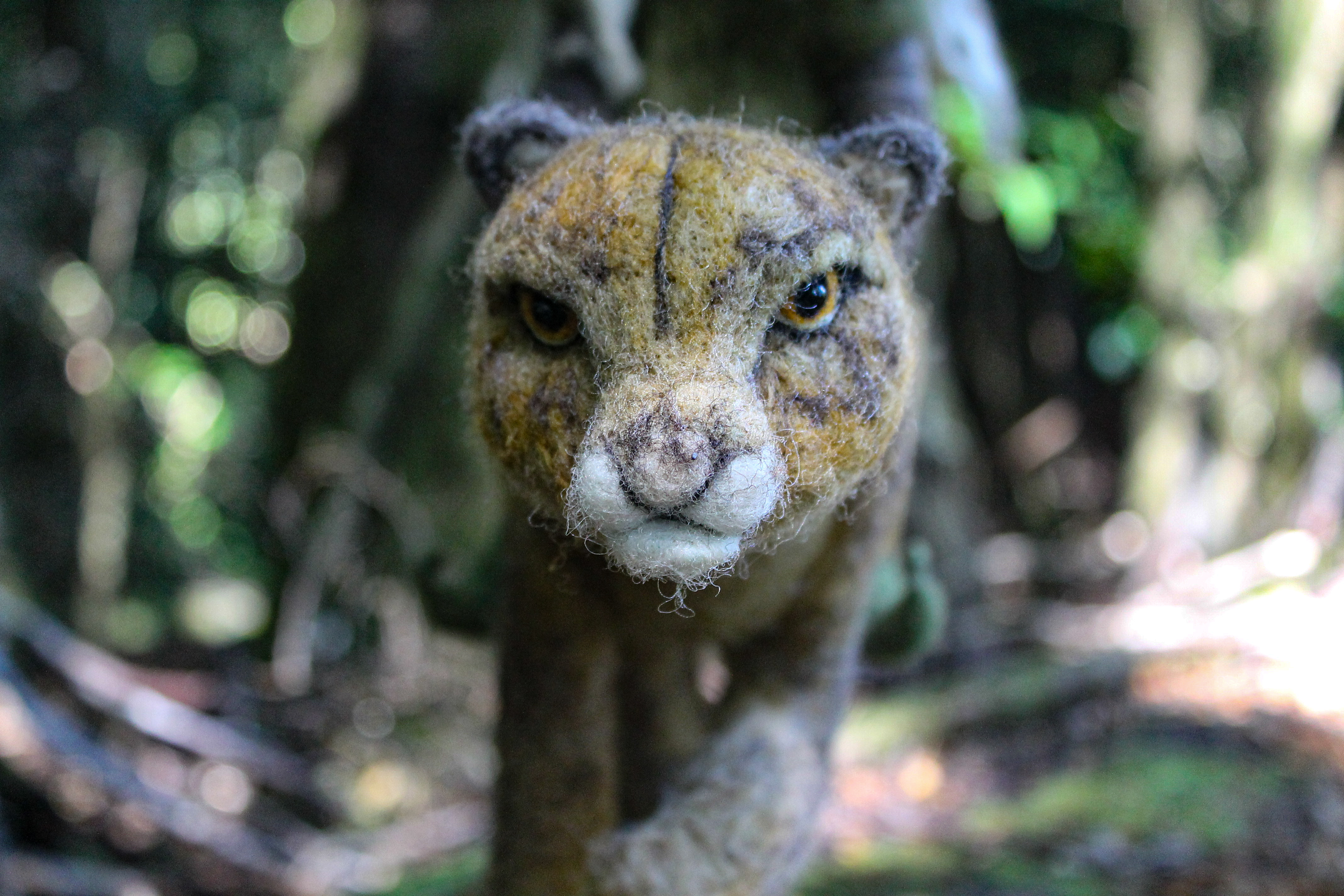 Fauna Nativa en lana