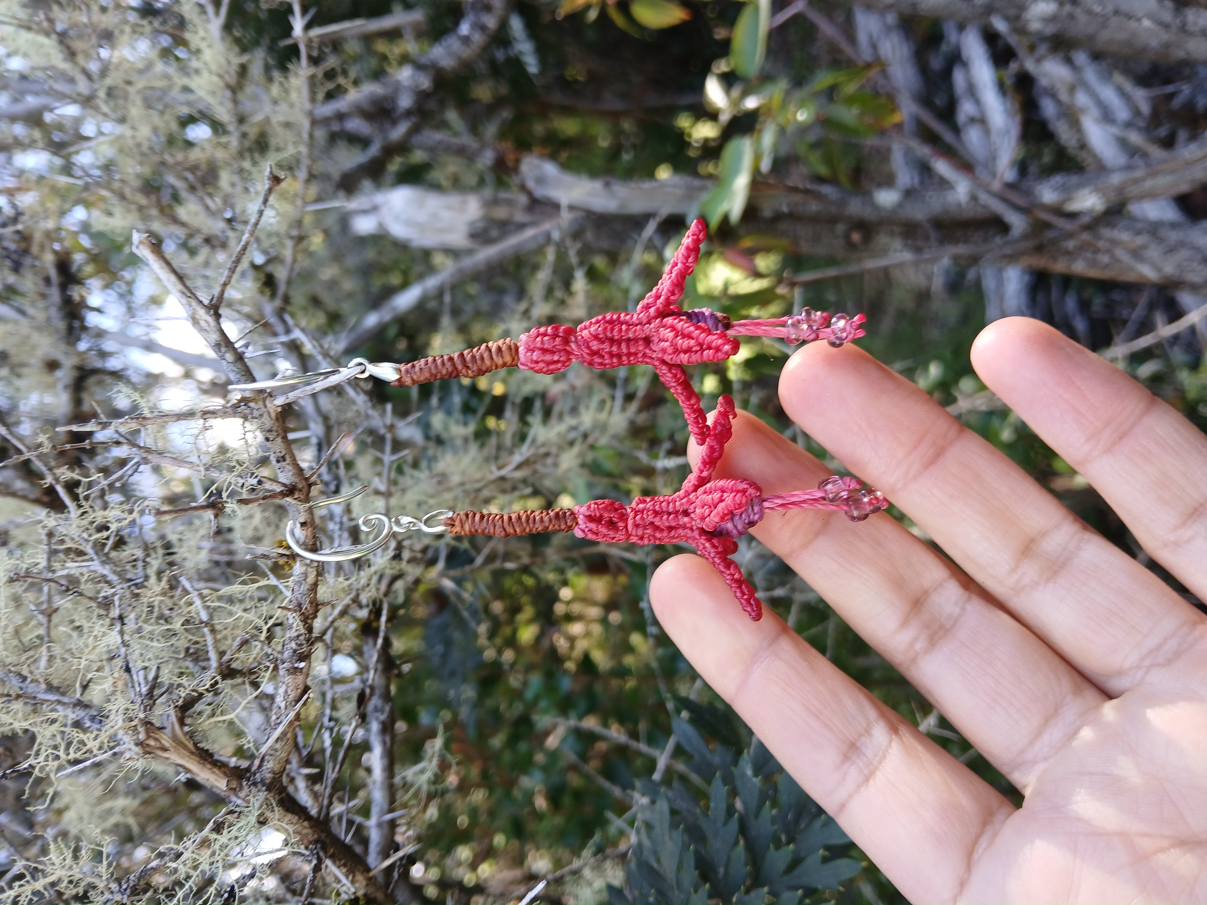 Joyas de Flora nativa