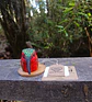 Picaflor de Juan Fernández  - Miniatura 2