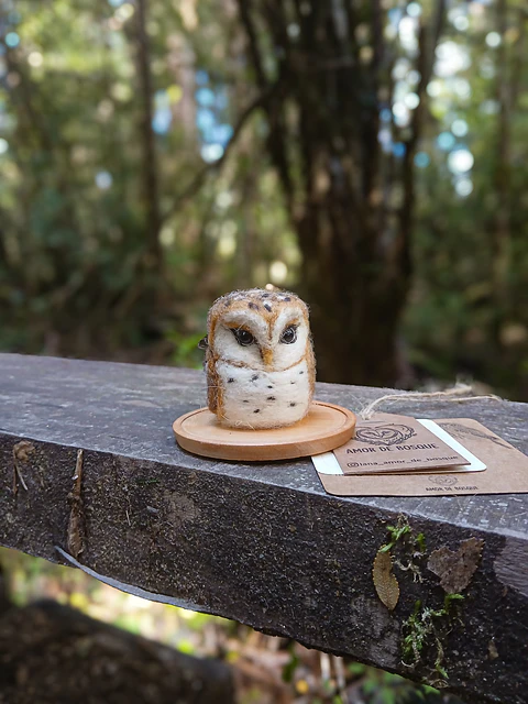 Lechuza Tyto Alba