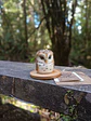 Lechuza Tyto Alba - Miniatura 1