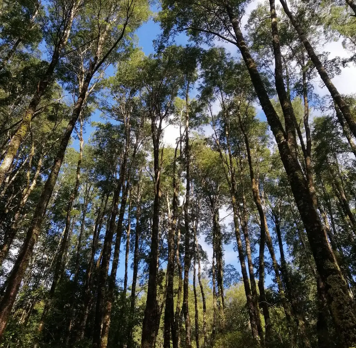 Nueva temporada, naturaleza esencial 