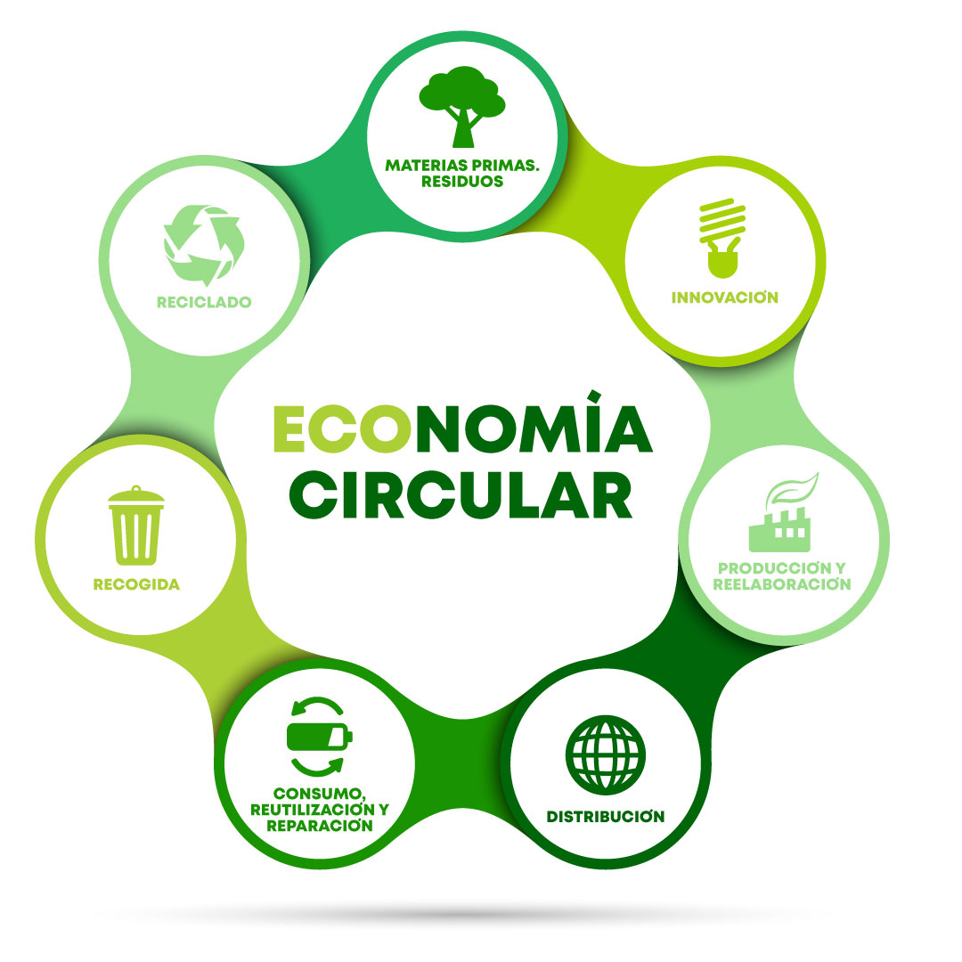 ¿Qué es la Economía Circular? 