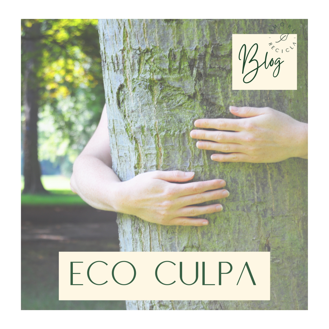 Eco Culpa: ¿Qué es y qué puedo hacer?