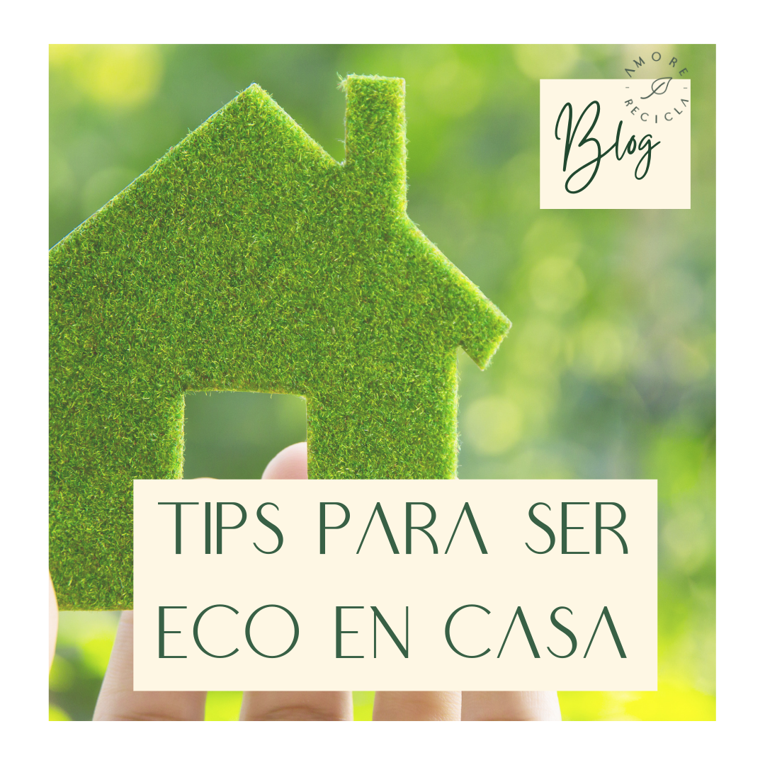 4 tips para ser más eco en casa