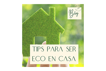 4 tips para ser más eco en casa