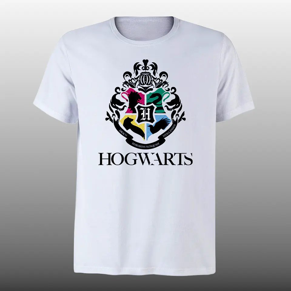 Harry Potter 2 - DTF 1