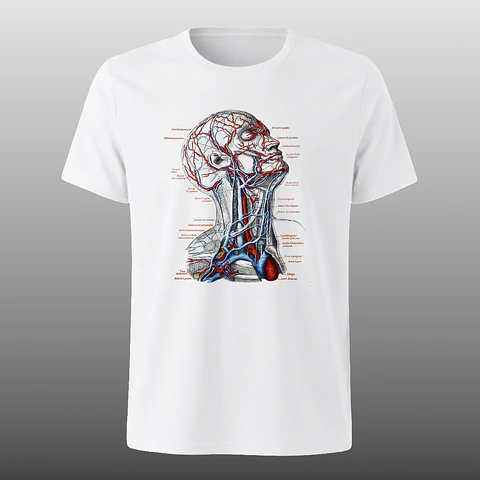 Polera Anatomia de la cabeza humana
