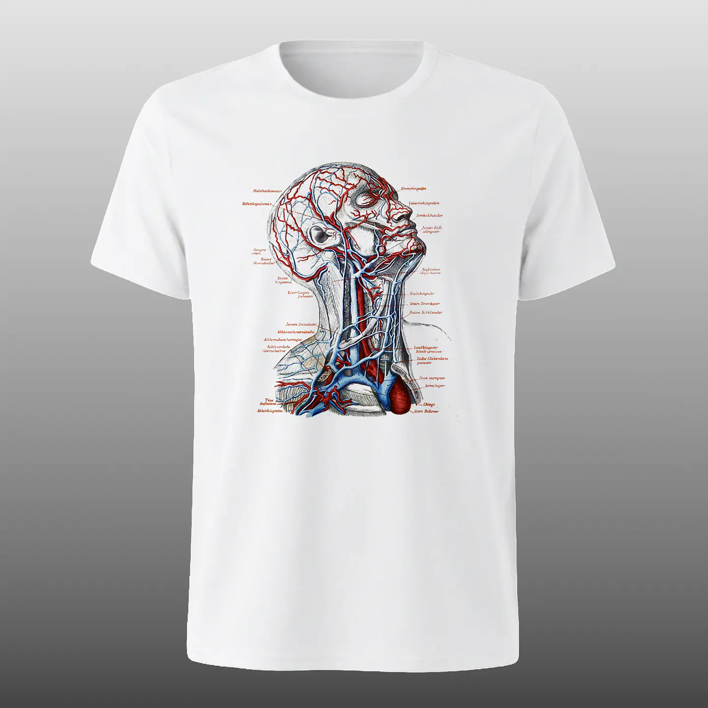 Polera Anatomia de la cabeza humana 1