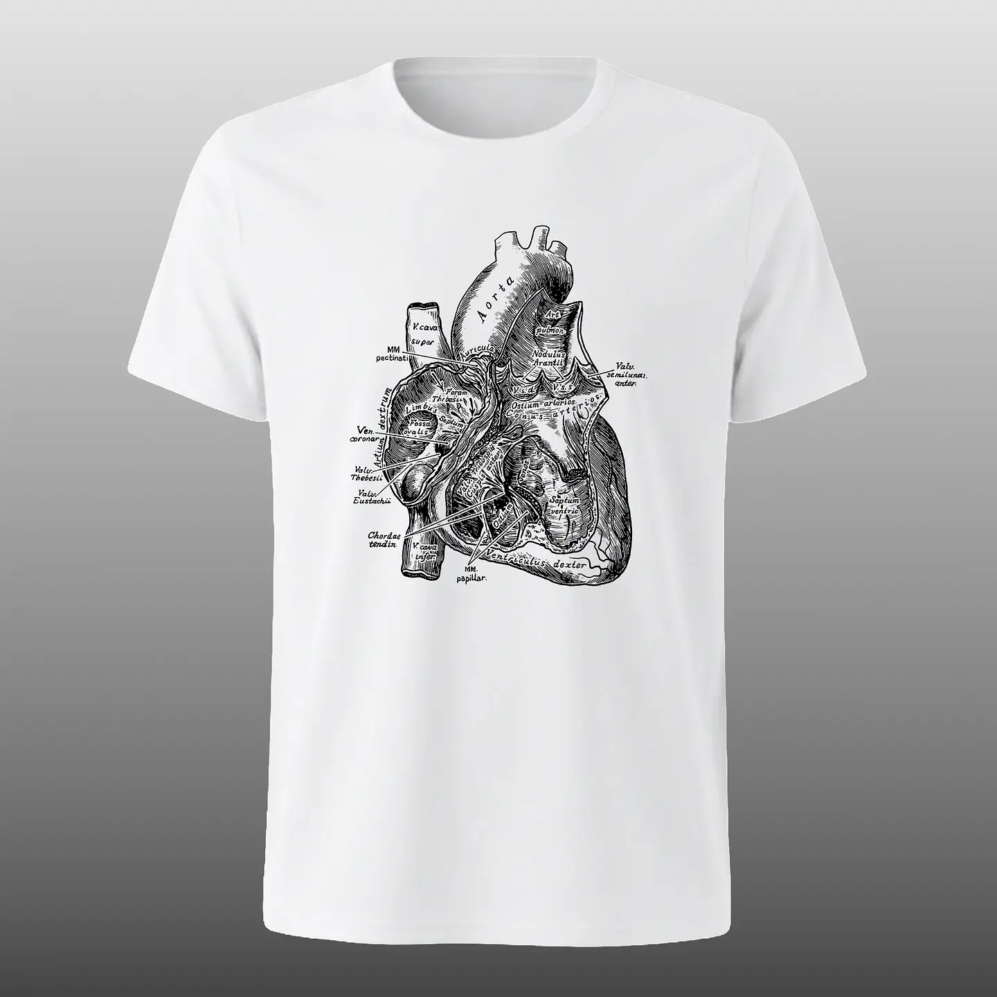 Polera anatomía del corazón 1