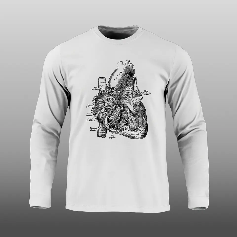 Manga Larga - Anatomía del corazón 1