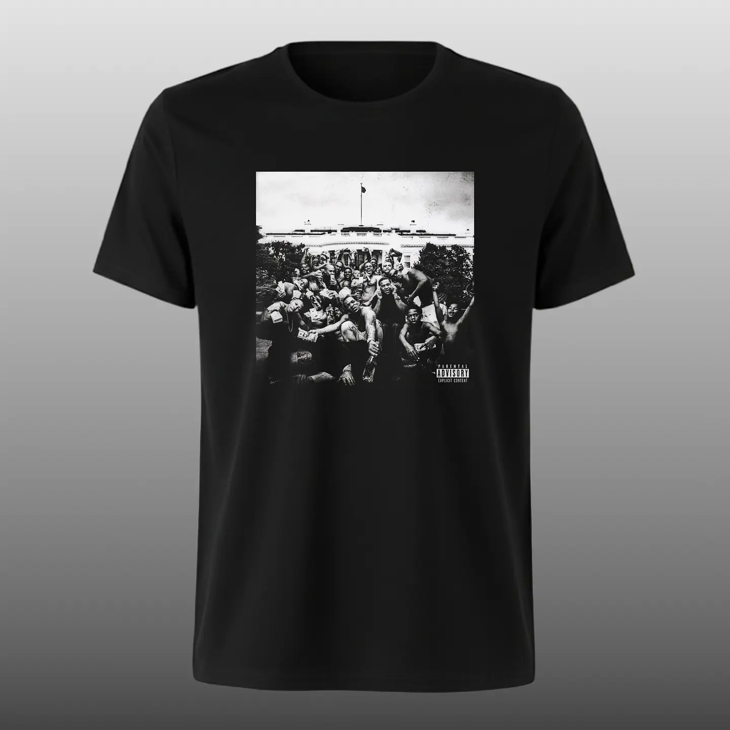 Polera Kendrick Lamar - To pimp a butterfly 1