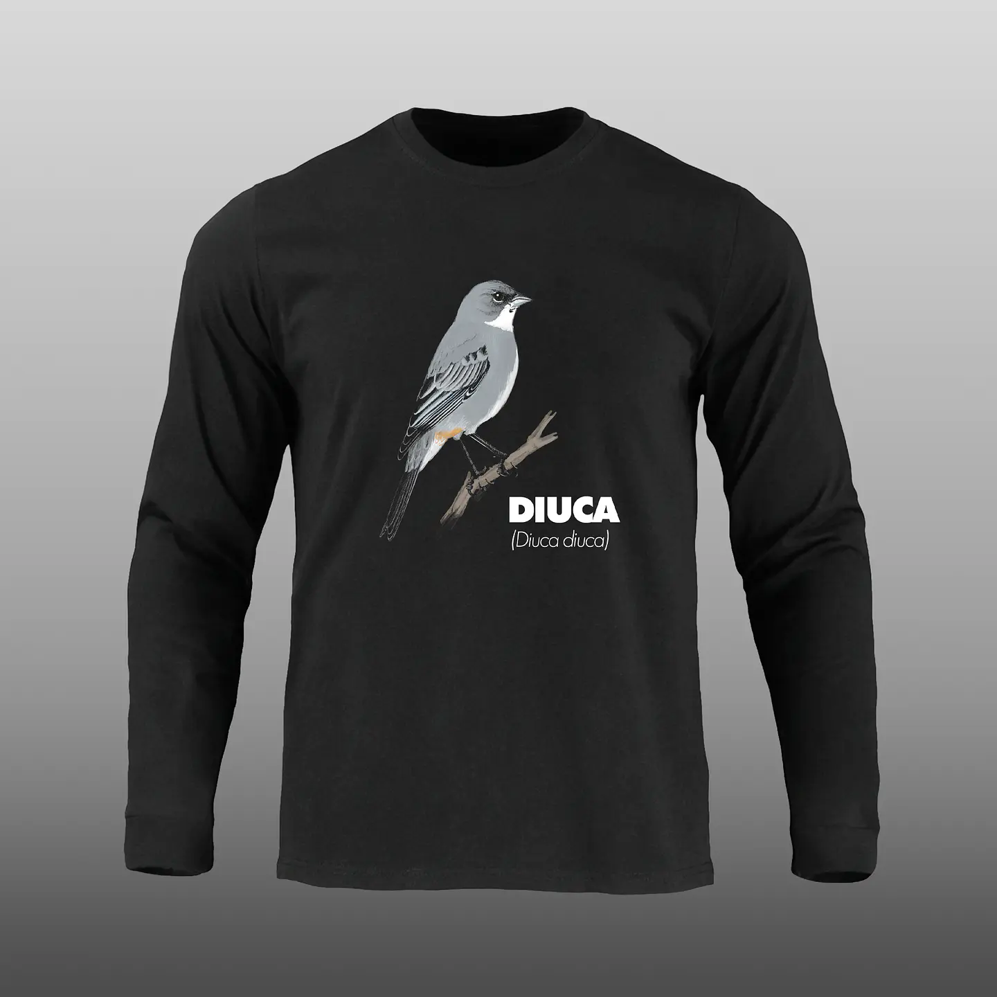 Pajaritos - Diuca 3