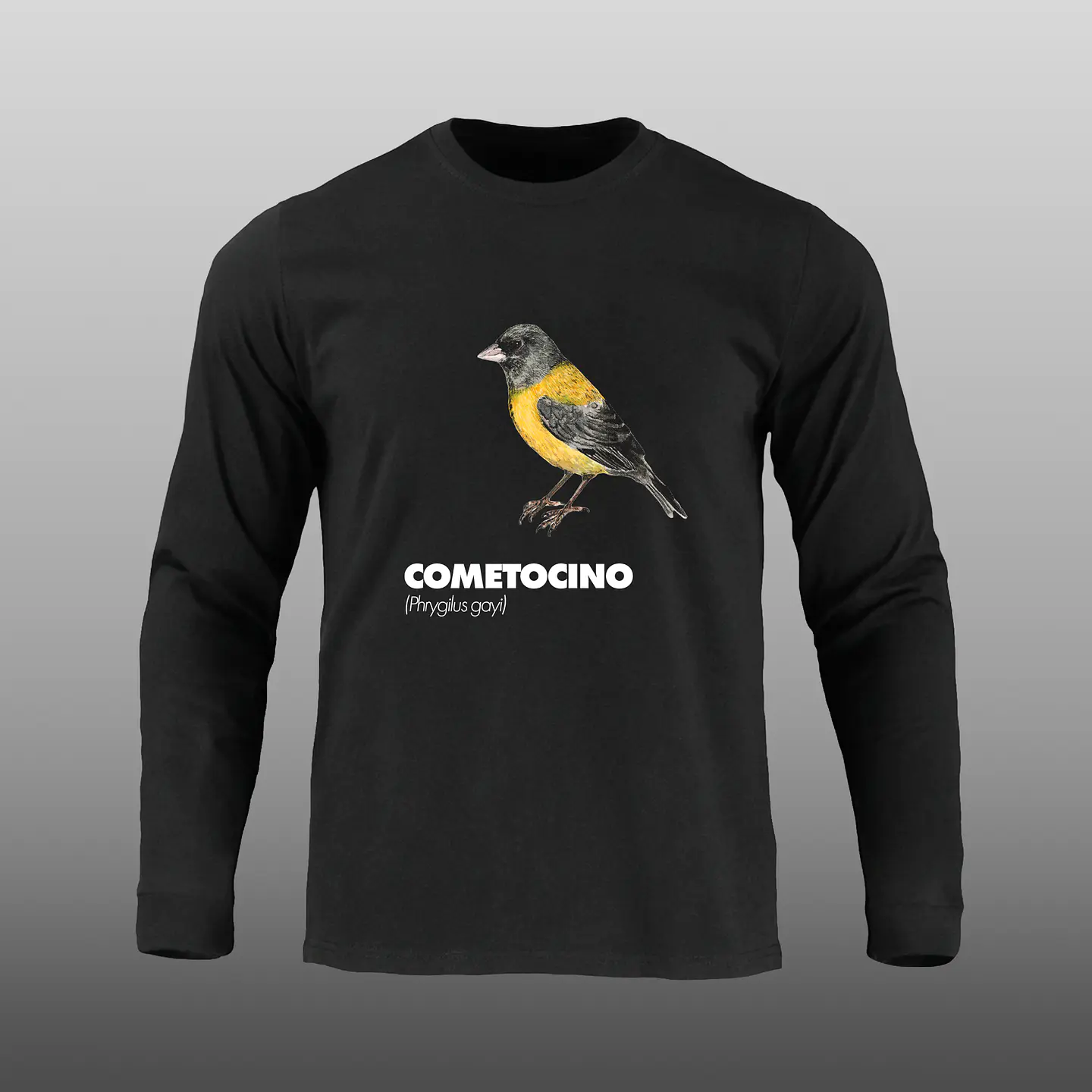 Pajaritos - Cometocino 3