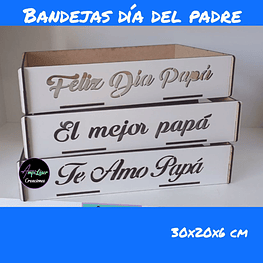 12 Bandejas blancas día del padre